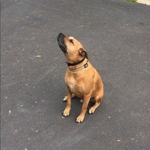 Meet your Posher, Yasmine